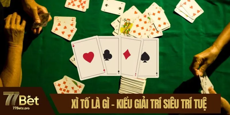 Xì Tố Là Gì? Khám Phá Nhanh Kiểu Giải Trí Siêu Trí Tuệ