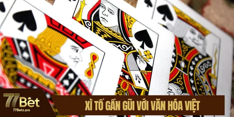 Xì tố gần gũi với văn hóa Việt